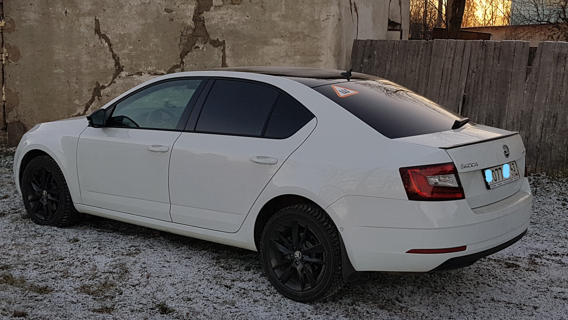 7 черный 1 белая. Skoda Octavia a7 Wrap. Шкода Октавия а7 фл стайл. Skoda Octavia a8 White.