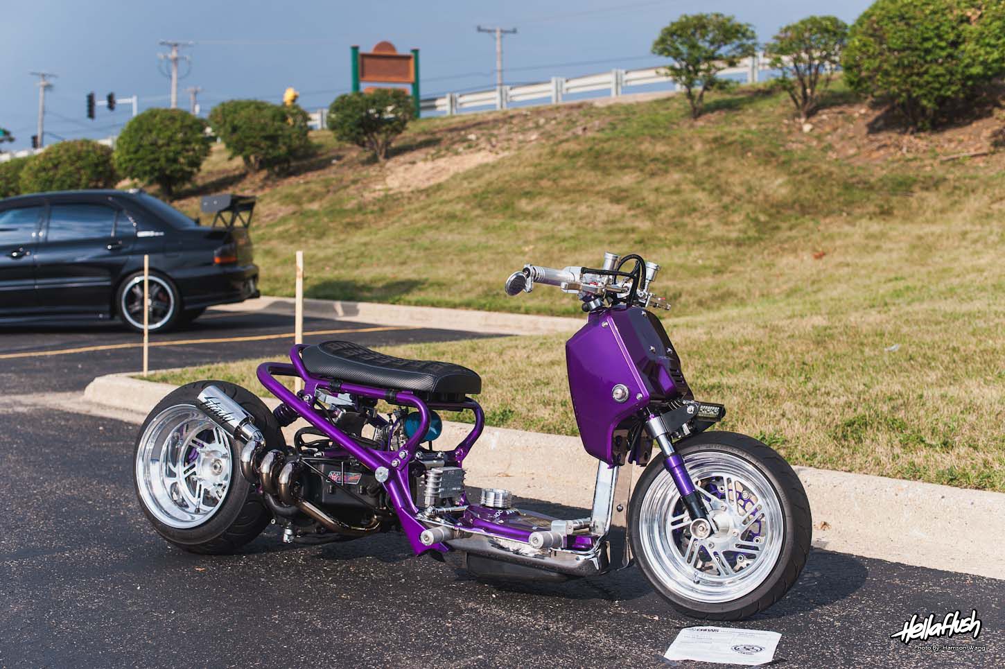 Honda Ruckus Lowrider