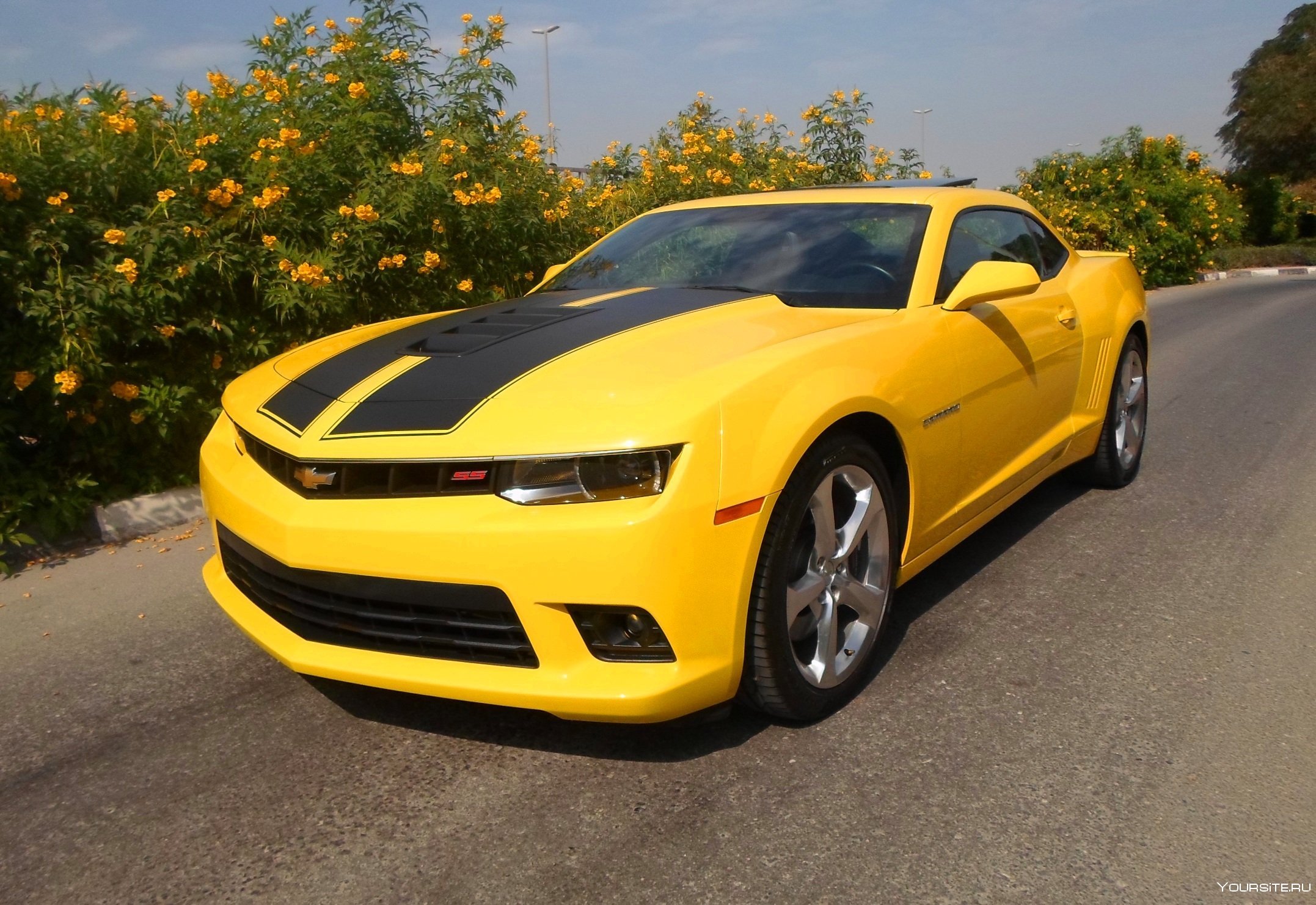 Chevrolet Camaro 2005