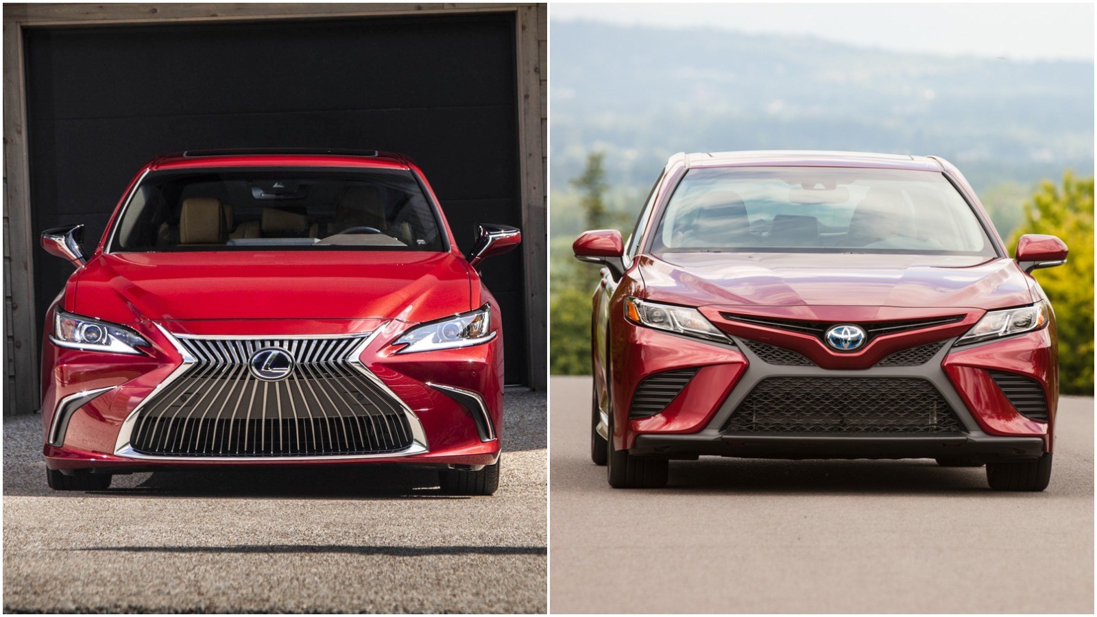 Тойота камри сравнения. Lexus es vs Toyota Camry. Toyota Avalon vs Toyota Camry. Lexus es 250 vs Camry 70. Lexus es250 и Toyota Camry.