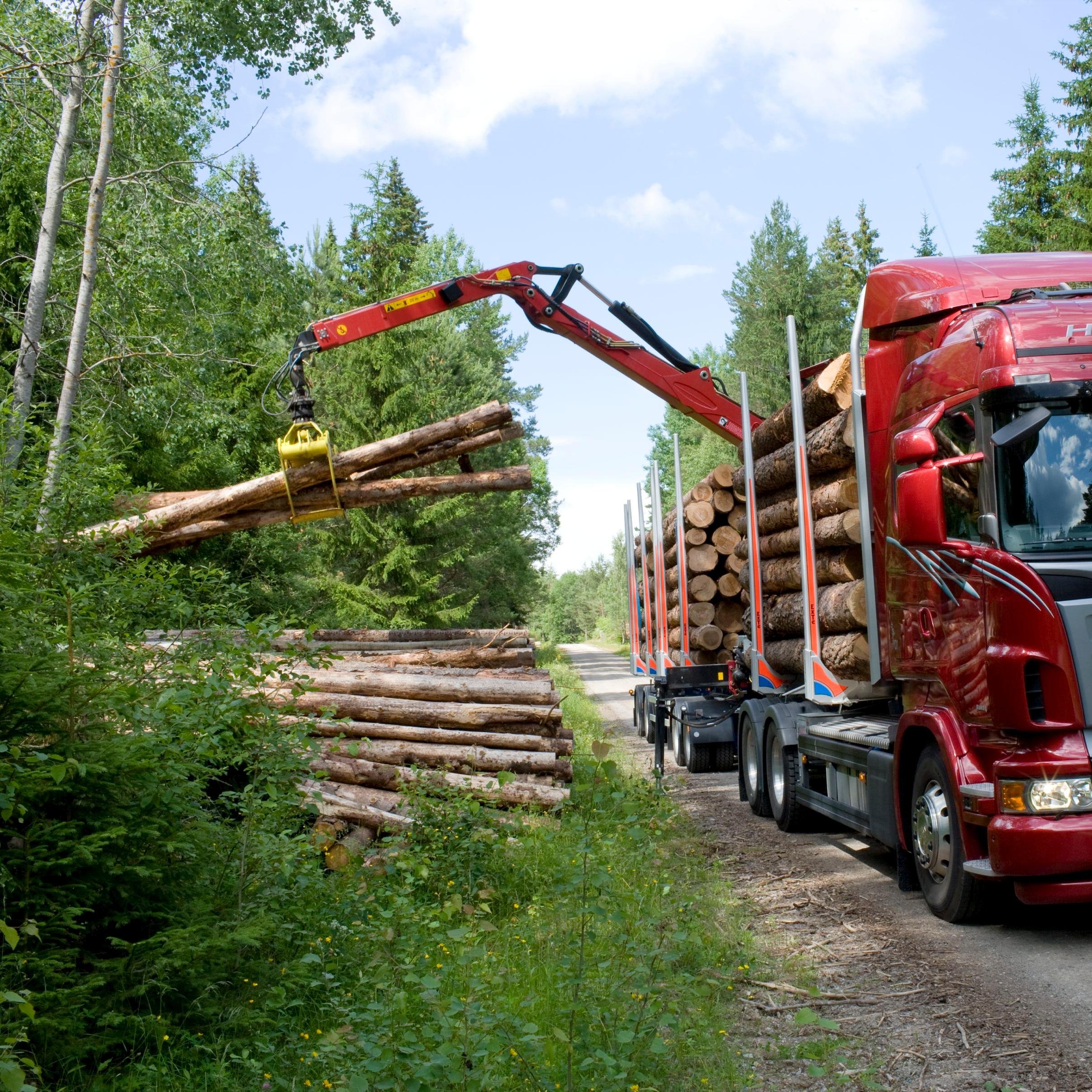 Лесовоз. Scania r730 лесовоз. Форд лесовоз. Лесовоз сису Форест. Ман лесовоз 2022.