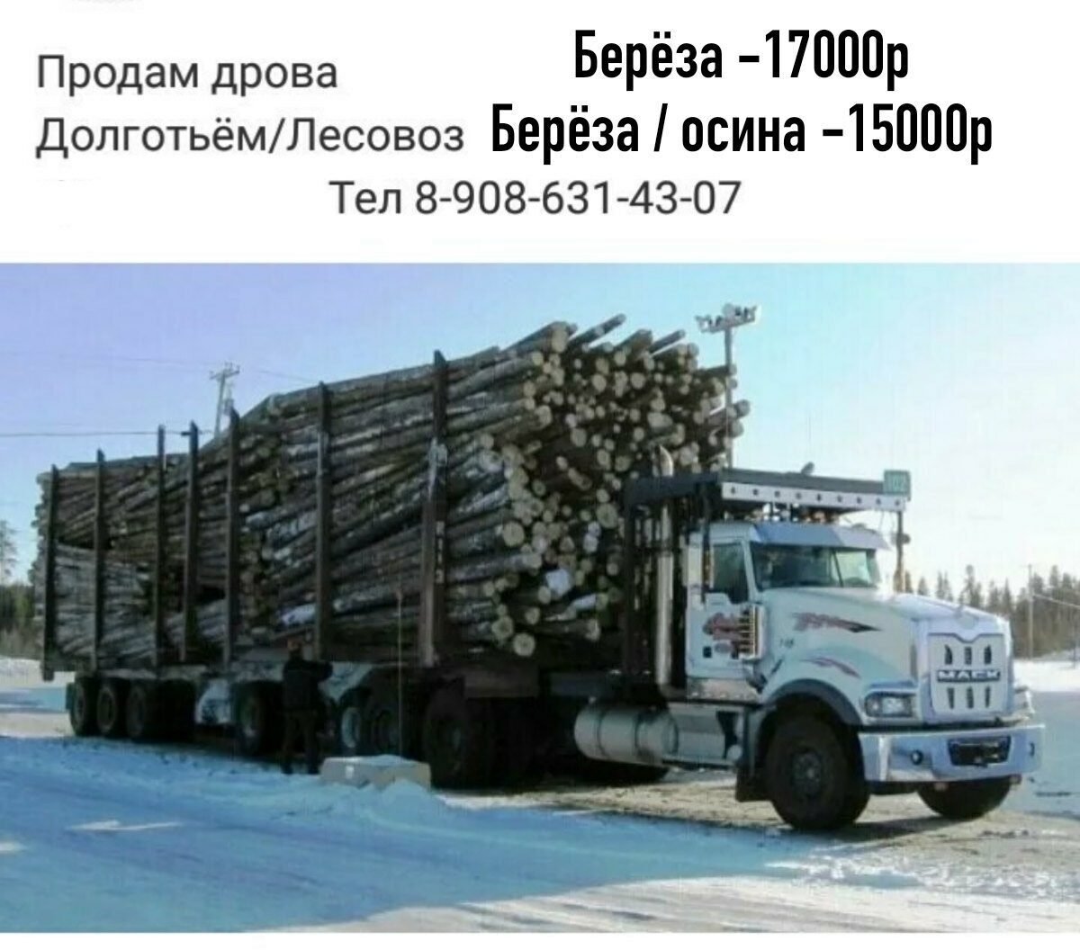 Лесовоз дров купить. МАЗ 54341 лесовоз. КРАЗ 6233м6 лесовоз. Дрова долготье осина береза. Лесовоз с дровами КАМАЗ.