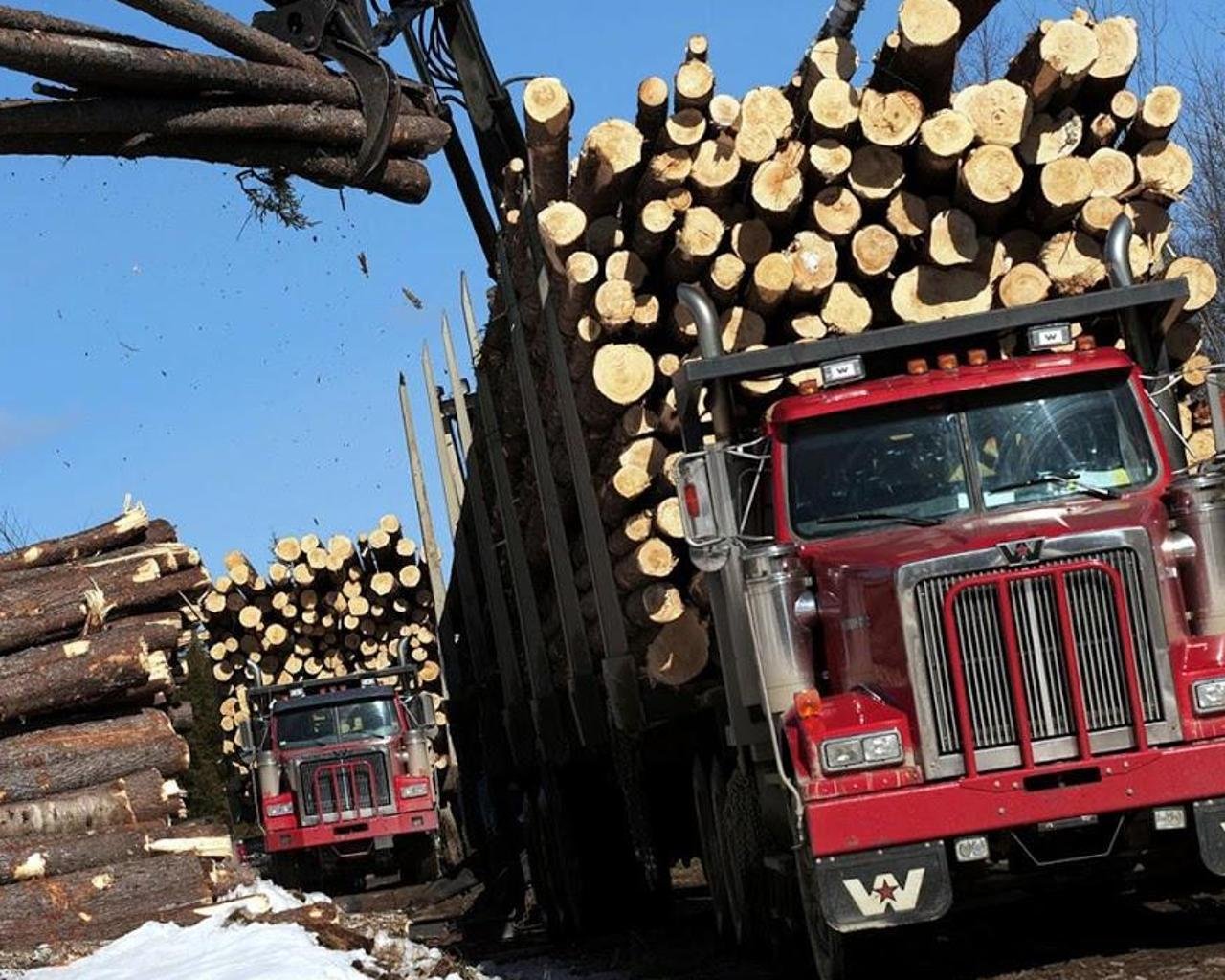 Лесовозы песня макс. Western Star 4900 logging Truck. Грузовики Комацу лесовоз. Комацу Ниссан лесовоз. Лесовоз дров.