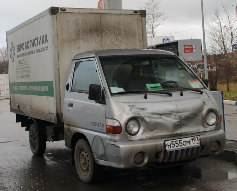 Лягушка Hyundai Porter 1