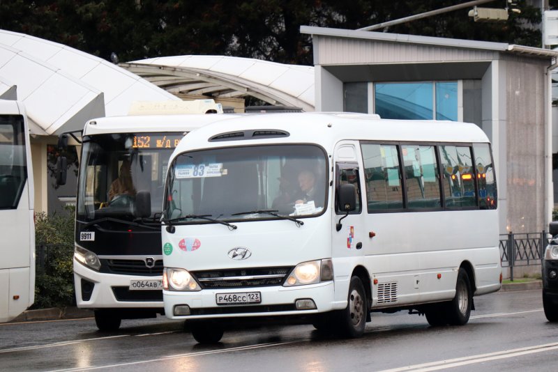 Hyundai County (хёндэ Каунти)