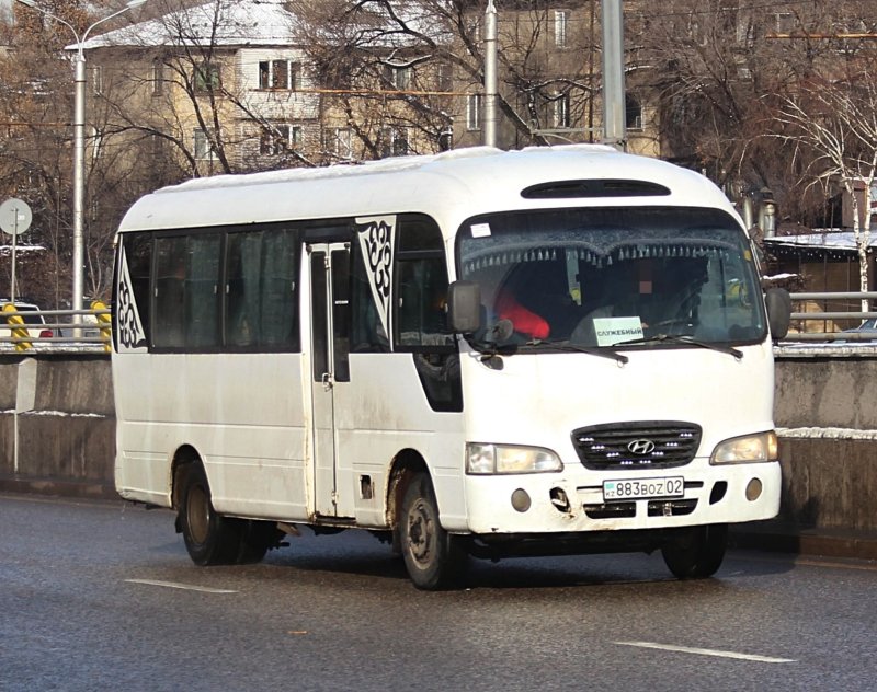 Hyundai County 2007