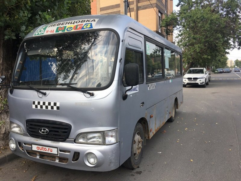 Hyundai County (хёндэ Каунти)
