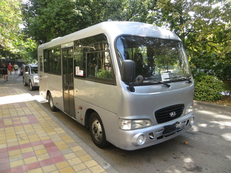 МАЗ 103 Hyundai County