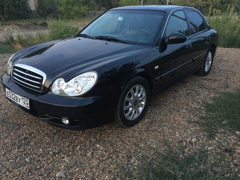 Sonata 2005