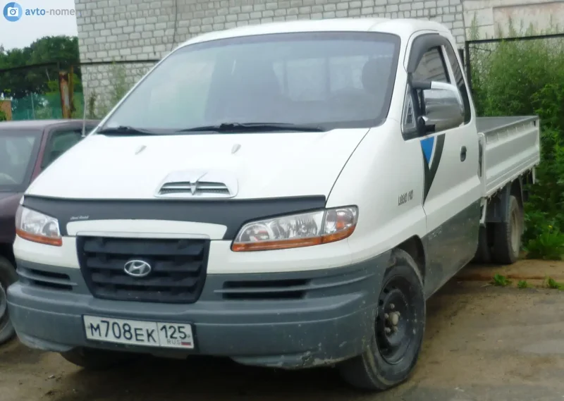 Купить Hyundai libero 2006