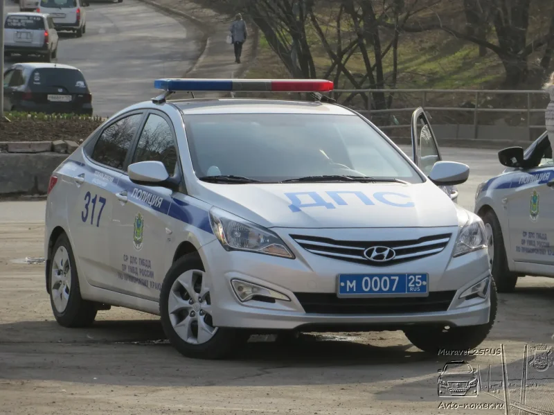 Hyundai Sonata Police