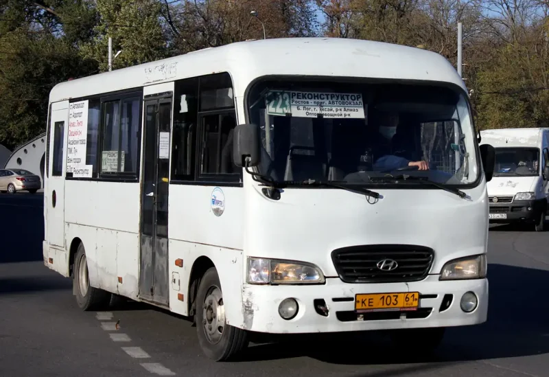 Hyundai County LWB