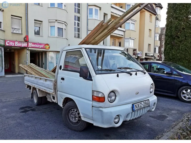 Hyundai h100 damper