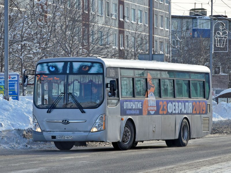 Hyundai Aero City 2008
