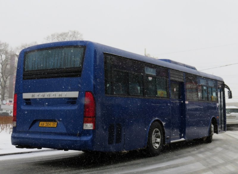 Hyundai Aero City 540 City