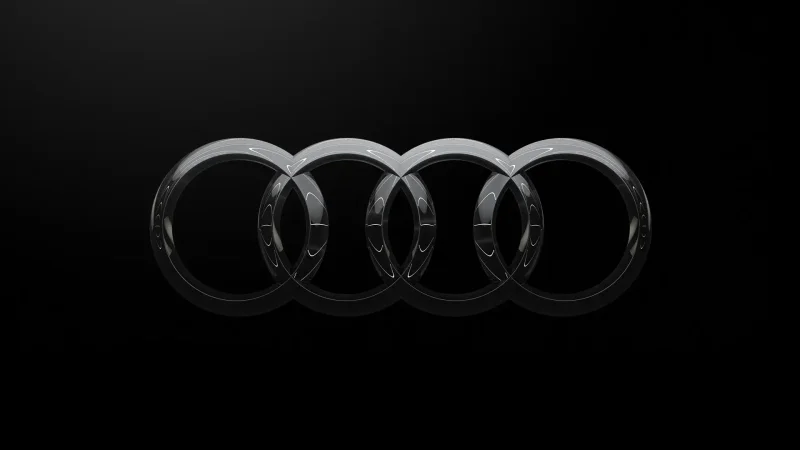 Кольца на Audi a4 b7