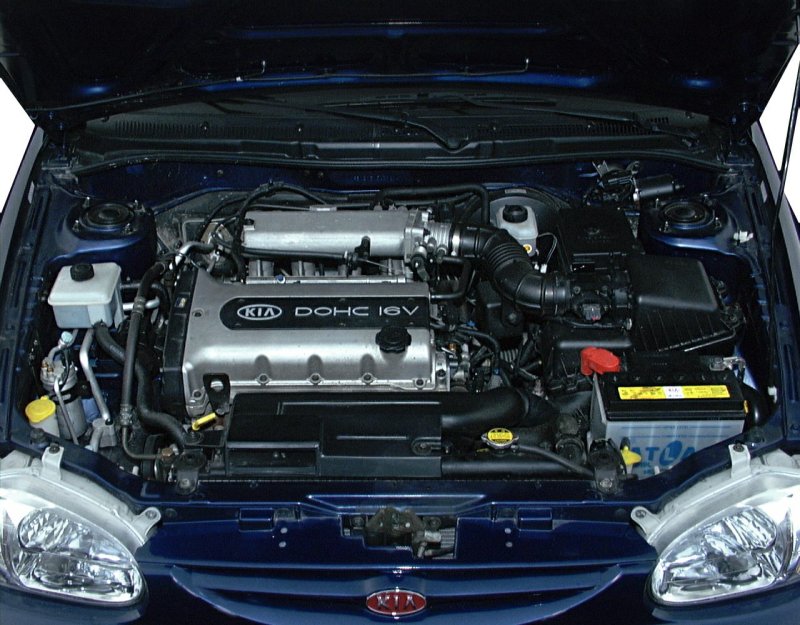 Hyundai Accent ТАГАЗ подкапотное