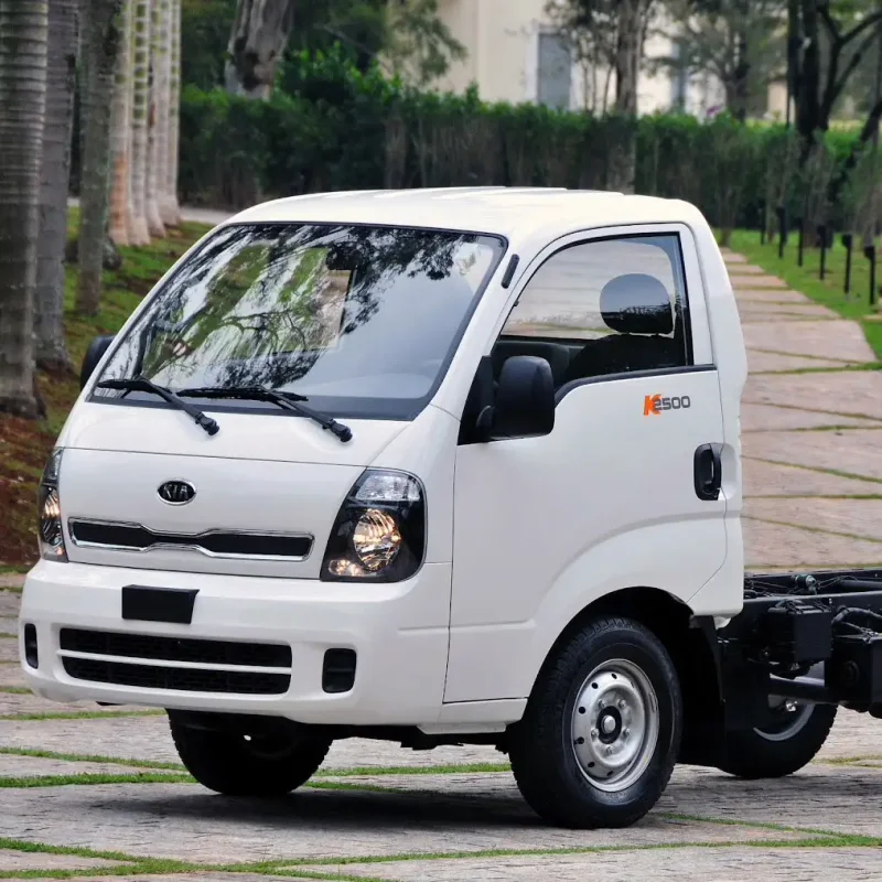 Kia Bongo 3