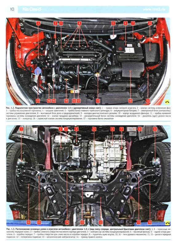 Kia Ceed 2011 днище