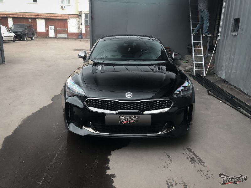 Kia Optima 2016 антихром