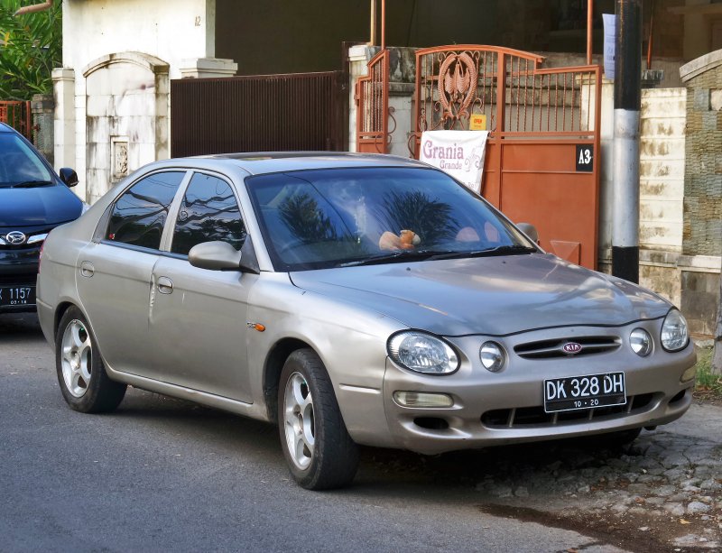 Киа шума Киа шума