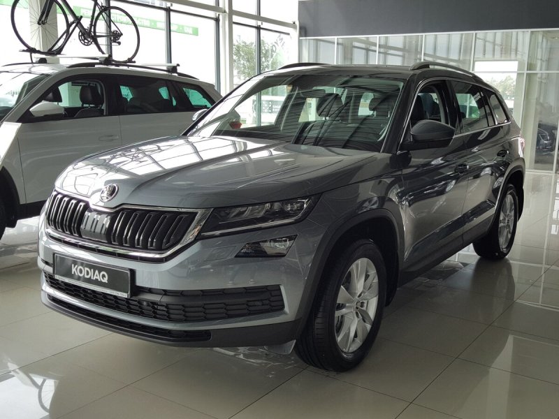 Skoda Kodiaq Grey