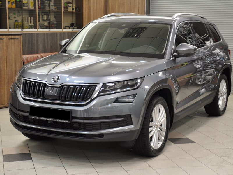 Skoda Kodiaq серый Platinum металлик