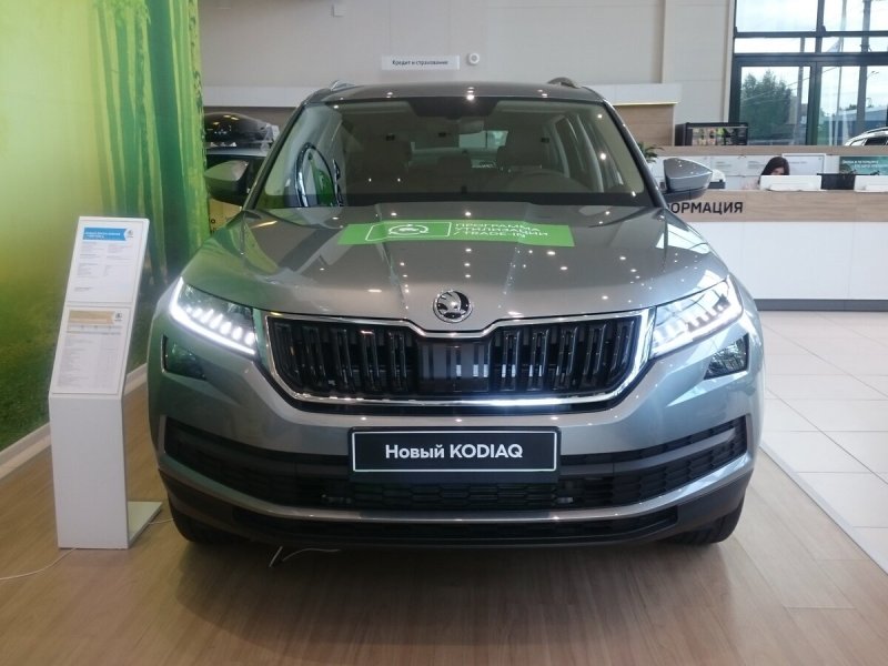 Škoda Kodiaq серый