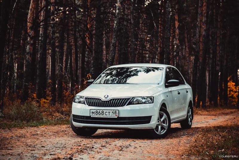 Škoda Octavia RS a7