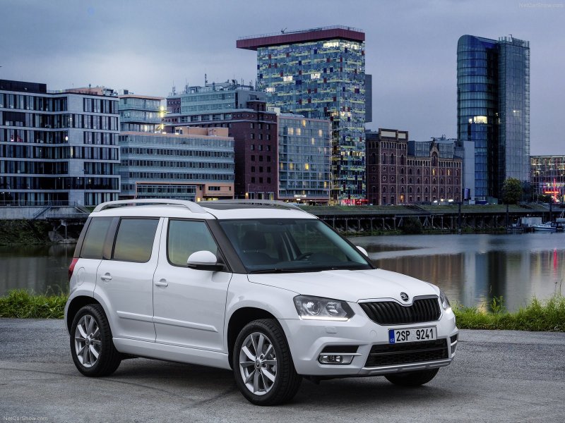 Skoda Yeti, 2012 коричневый