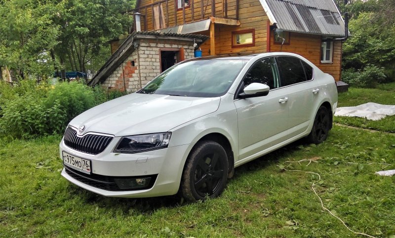 Skoda Octavia a8 белая Black Edition