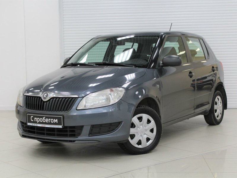 Skoda Fabia 2013 серая