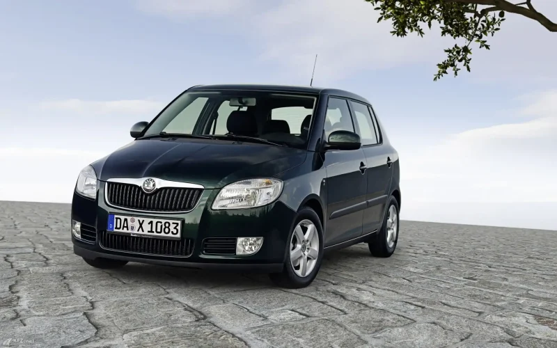 Skoda Roomster 2010