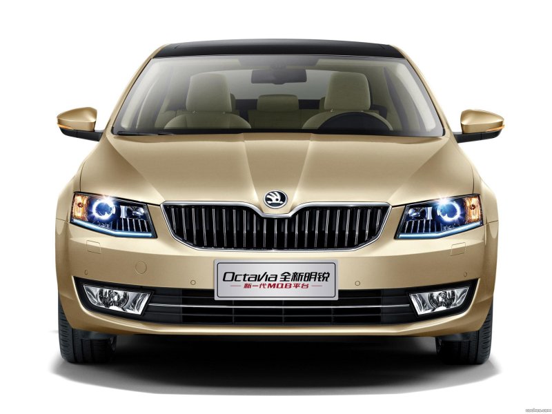 Skoda Octavia China