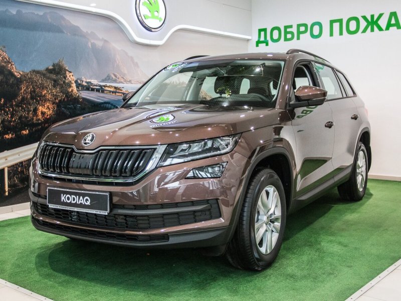 Skoda Kodiaq 2019 коричневый