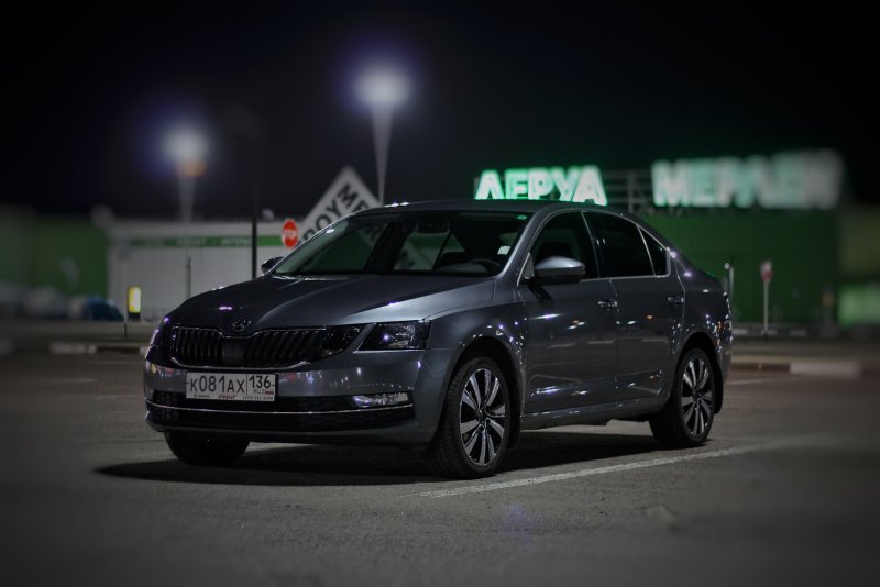 Skoda Rapid 2014 антихром