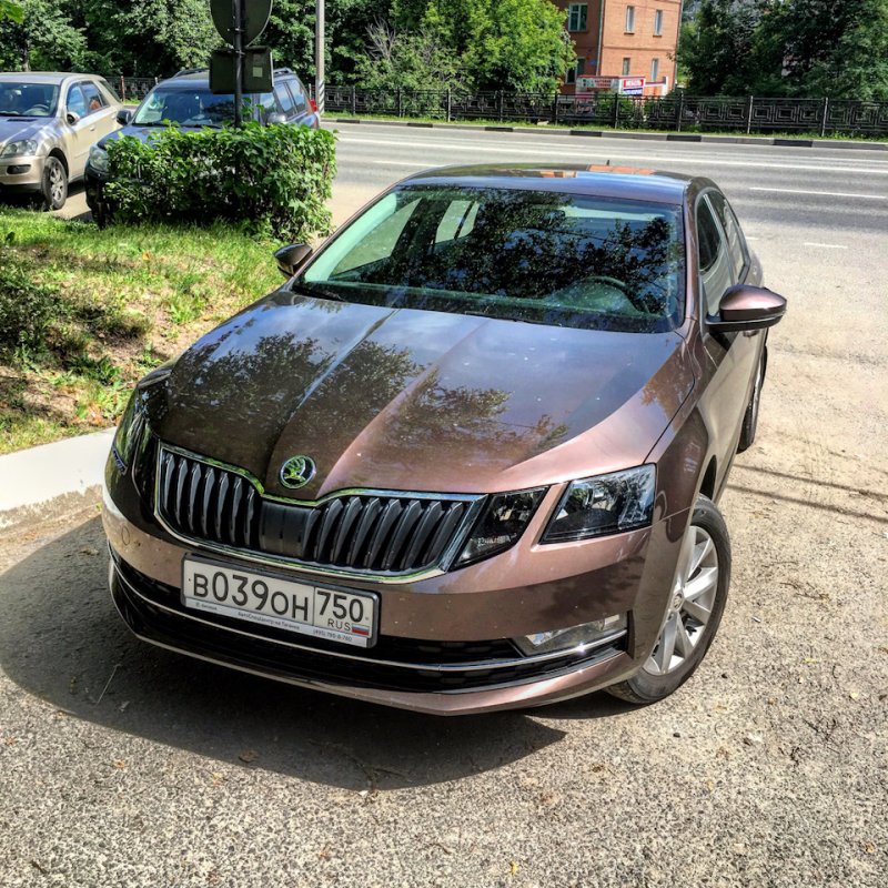 Skoda Octavia a7 коричневая