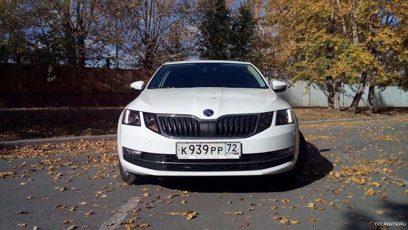 Škoda Octavia 2018 белая