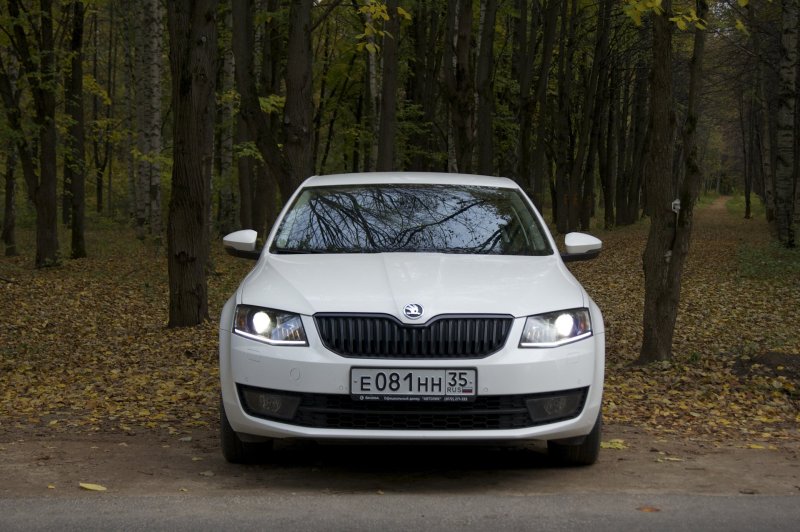 Skoda Octavia белая