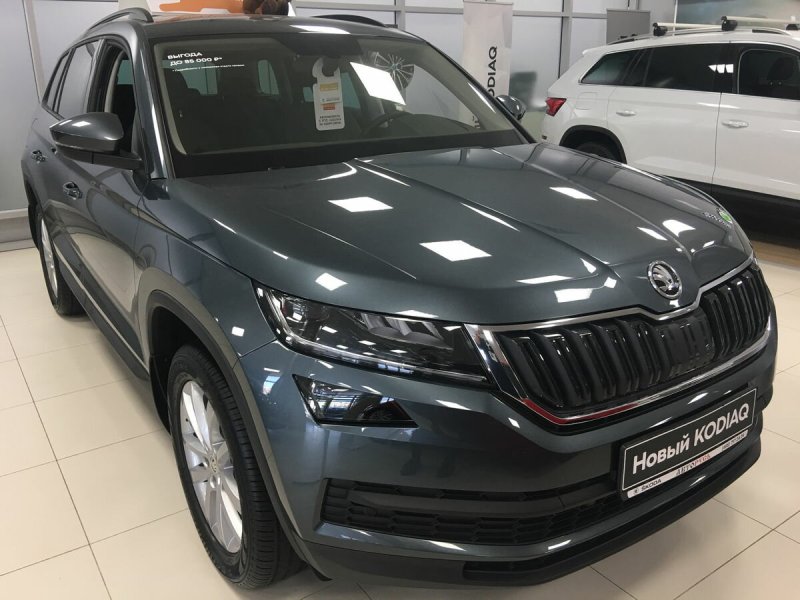 Skoda Kodiaq серый