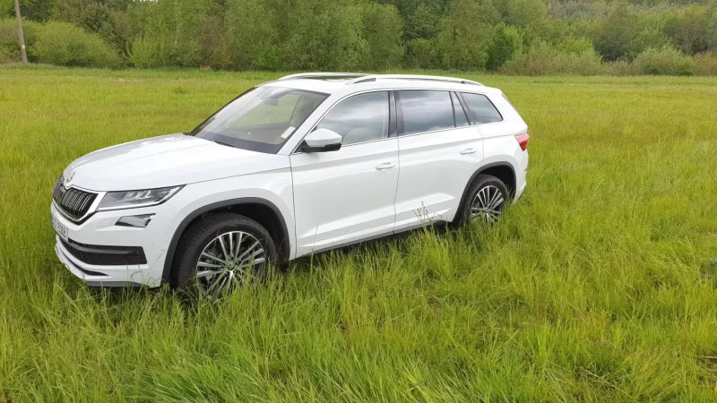 Skoda Kodiaq белый