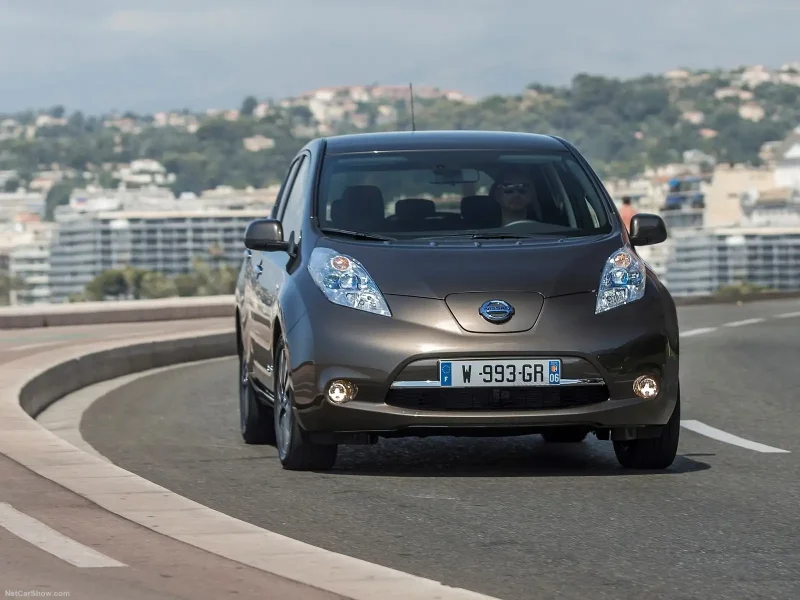 Nissan Leaf коричневый