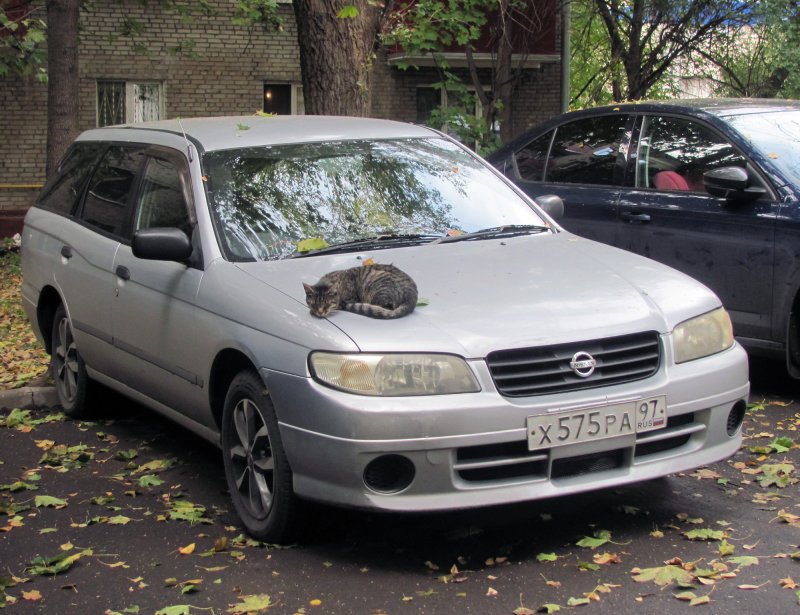 Nissan Expert 2001