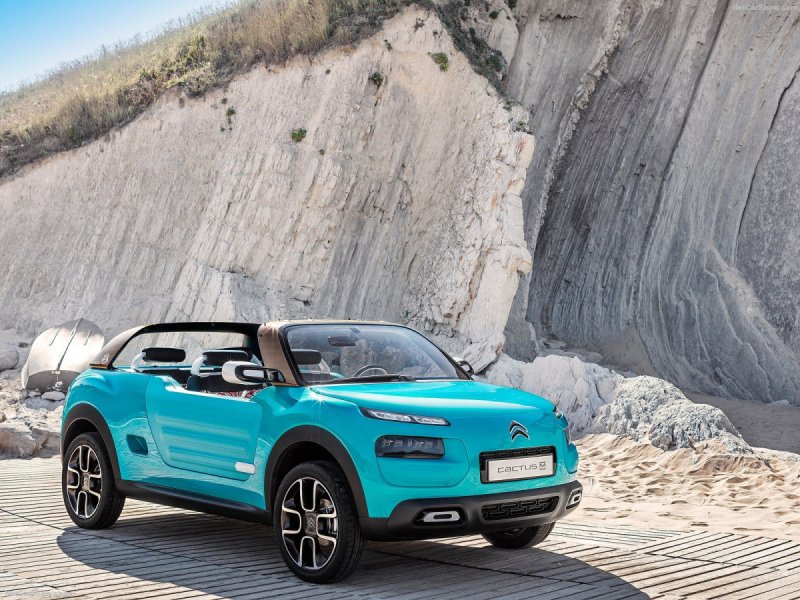 Citroen c3 Cactus