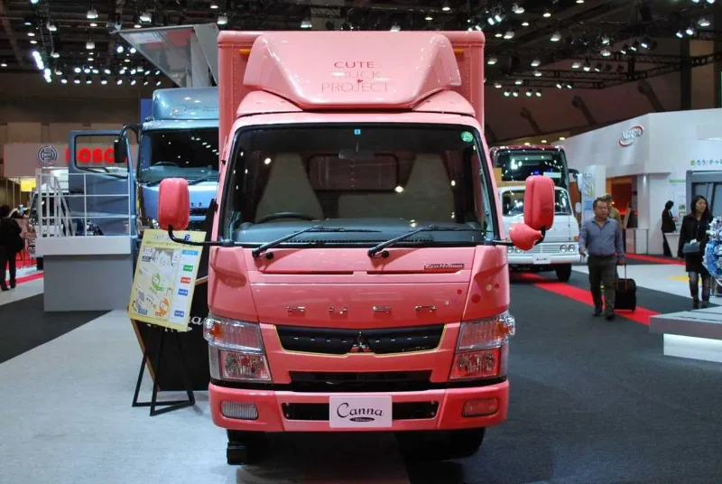 Mitsubishi Fuso Canter 2010