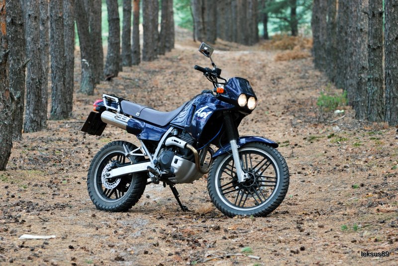 Honda AX-1 Scrambler