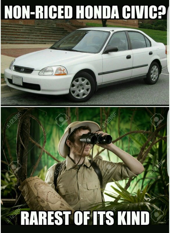 Honda Civic мемы