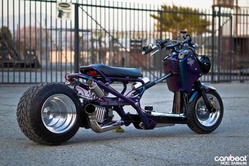 Honda Ruckus Custom