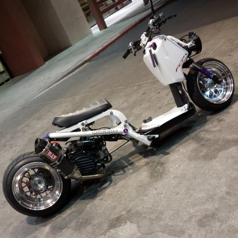 Honda Ruckus Custom