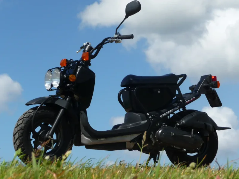 Honda Ruckus 50